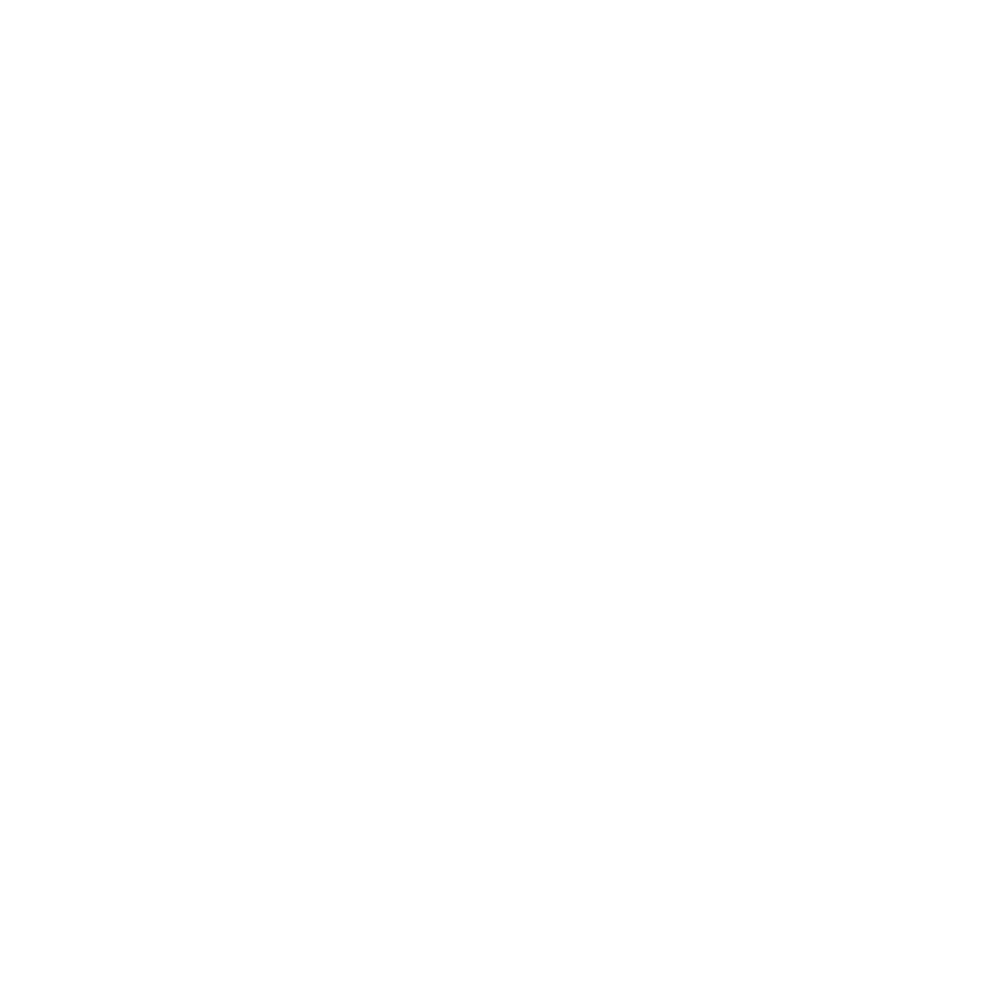 Building Surveys