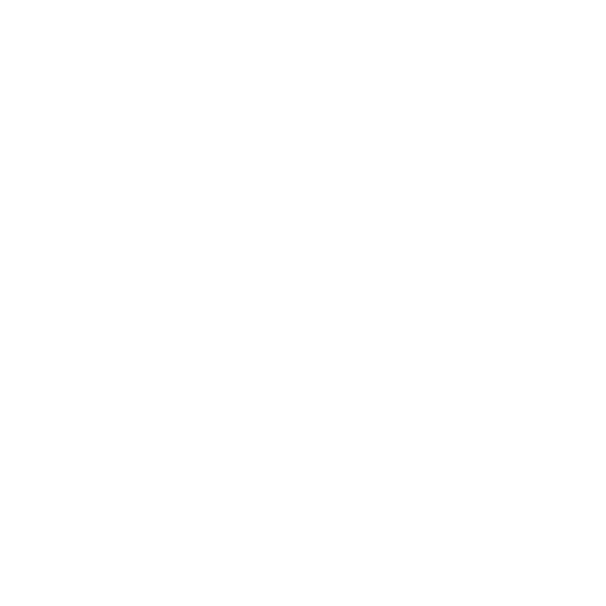 Structural Surveys