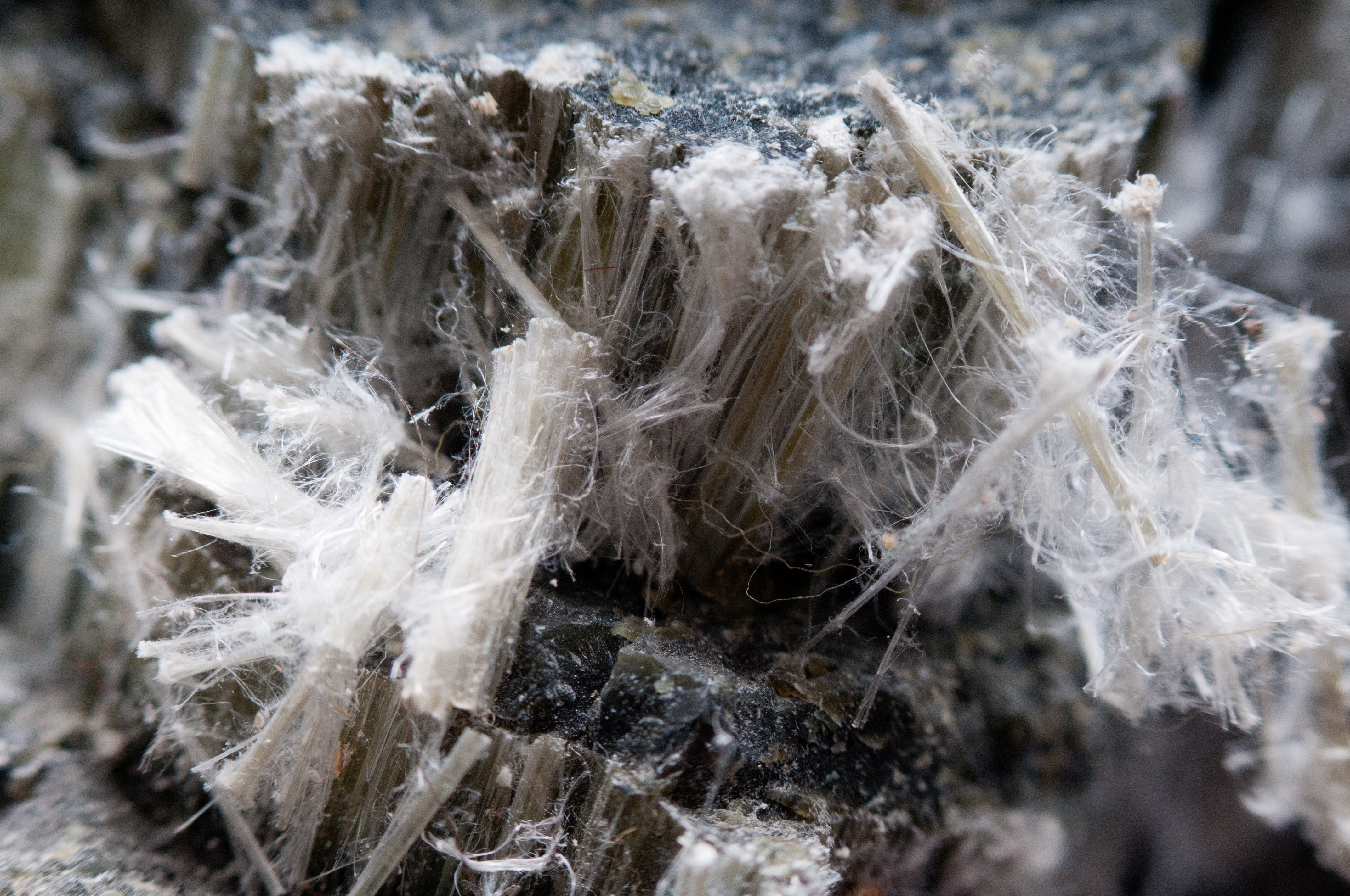 The Ongoing Importance of Asbestos Management in 2025